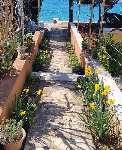 아파트 Katica Kožino